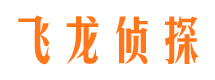 阿瓦提市侦探公司